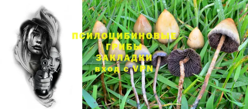 hydra ONION  Городовиковск  Псилоцибиновые грибы Cubensis 