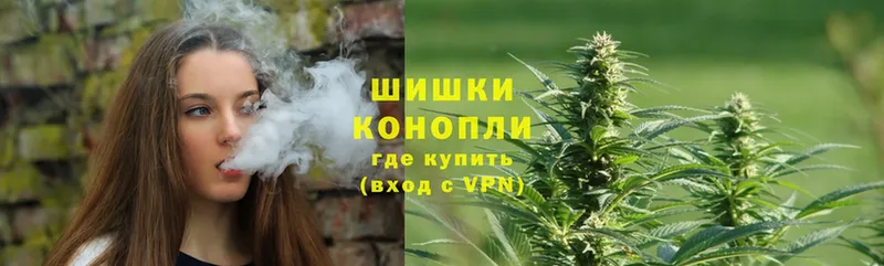 закладка  Городовиковск  Канабис White Widow 